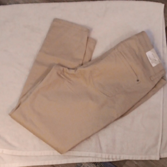 Curve Women's Tan Chinos - Picture 5 of 5